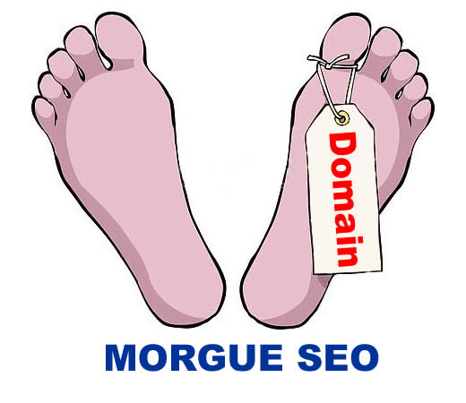 ¿Que es SEO forense?